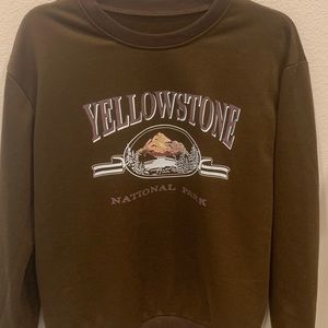 SUPER CUTE national parks crewneck!